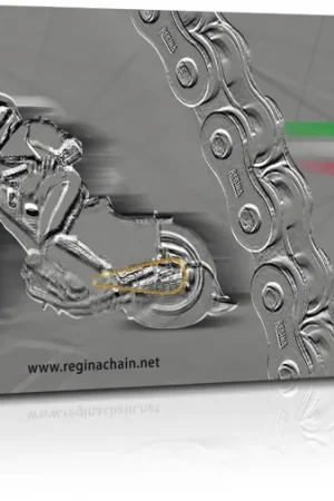 REGINA - 520 135 EBSORO 106L G&B - Chains - SPEEDWAY Merkproduct